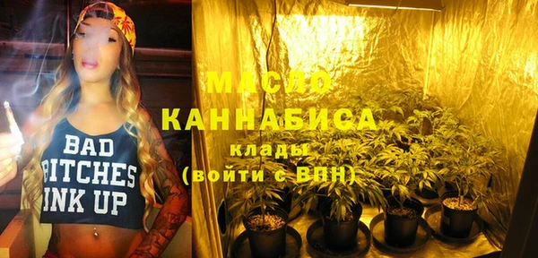 стаф Каменногорск