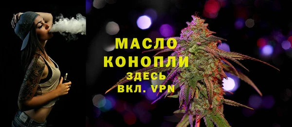 ешки Инта