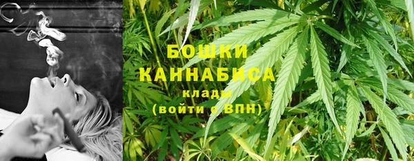 ешки Инта
