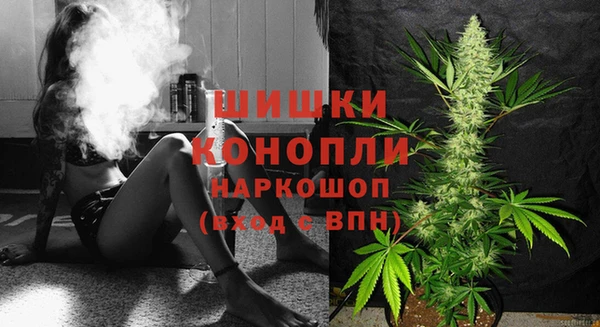 ешки Инта