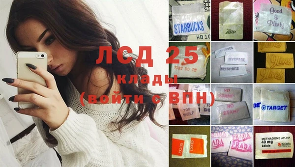 ешки Инта