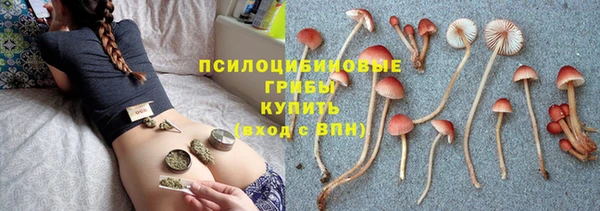 стаф Каменногорск