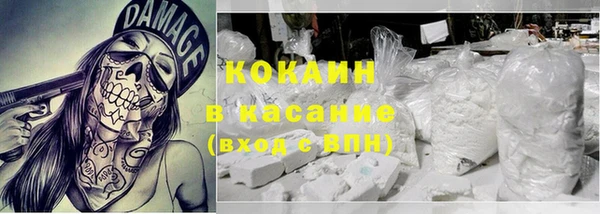стаф Каменногорск