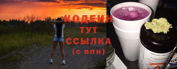 ешки Инта