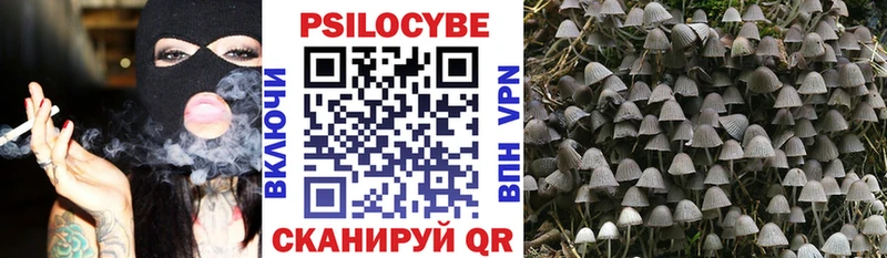 Купить где  Лосино-Петровский  Галлюциногенные грибы мухоморы 